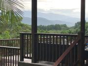 Top Daintree