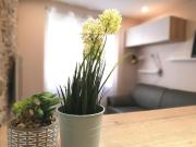 Top LʼIsle-sur-la-Sorgue