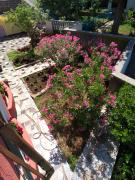 Top Senj