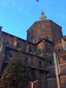 Top Pavia