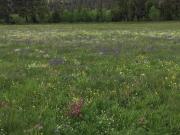 Top Clausthal-Zellerfeld