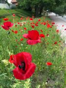 Nyköpings Vandrarhem