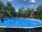 La casetta degli ulivi con piscina