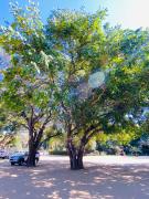 Letaba Junction Lodge