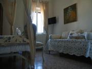 Top Bibbona Top Bibbona