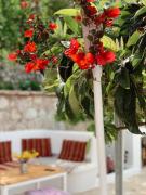 Top Piqeras Top Piqeras