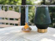 Top Hechendorf am Pilsensee Top Hechendorf am Pilsensee