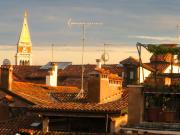 Top Venice