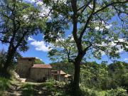 Top Sant Pere de Torelló