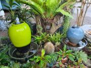 Top Bang Saphan Top Bang Saphan