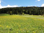 Top Folgaria