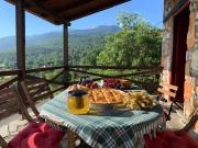 Top PƩtra Top PƩtra