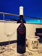 Top Umag