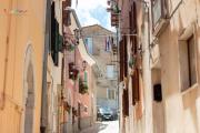 Top Campobasso