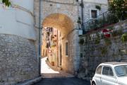 Top Campobasso