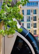 Linda Star Palace Otel