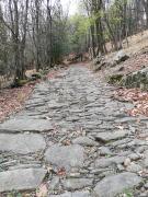 Top Cambiasca