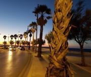 Top Mola di Bari Top Mola di Bari