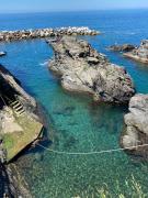 Top Manarola