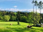 Top Zakopane Top Zakopane