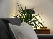 Top Torredembarra Top Torredembarra