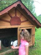 Top Wisła Top Wisła