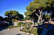 Top Martigues