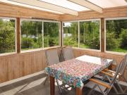 Top Asarum Top Asarum