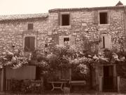 Top Brtonigla