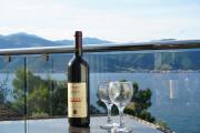 Top Tivat