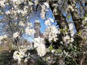 Top Lutherstadt Wittenberg