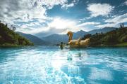 Top Merano