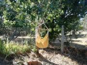 Top Fundão Top Fundão