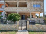 Petrino Studios Petrino Studios