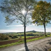 Top Rüthen Top Rüthen