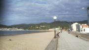 Top Viveiro Top Viveiro