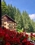 Top Poiana Brasov