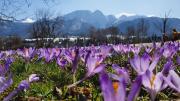 Top Zakopane