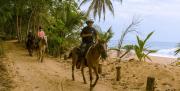Top Bocas del Toro