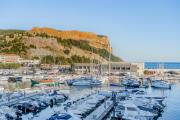 Top Cassis