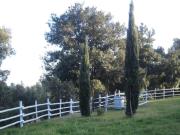 Top Monteverdi Marittimo