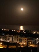 Top Estepona