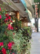 Top Lignano Sabbiadoro