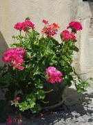 Top Campagne-sur-Aude