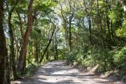 Top Monteverde