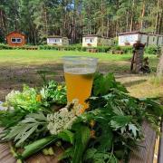 Top Daugavpils