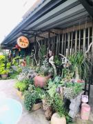 Top Jincheng