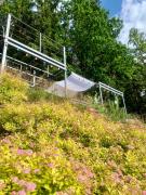 Top Kudowa-Zdrój Top Kudowa-Zdrój