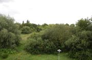 Top Emden