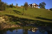 Top Bedero Valcuvia